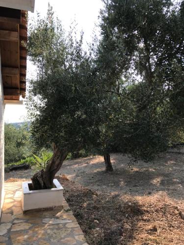 Fotografie z fotogalerie ubytování Ferienhaus Olive Garden v destinaci Kyparissia