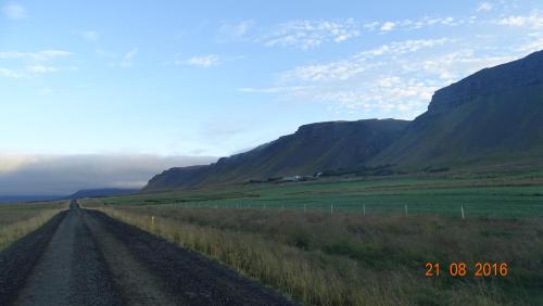 a dirt road in a field with mountains in the background at Miðjanes Reykhólahrepp in Reykhólar