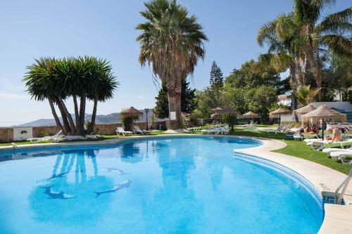 a large swimming pool with palm trees in a resort at Hotel y Bungalows Balcón de Competa in Cómpeta