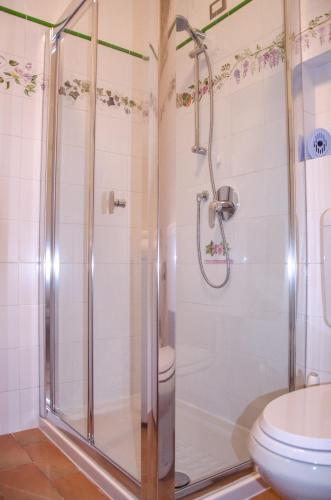 a bathroom with a shower and a toilet at AnMa Cottages Sole Lago in Acquaseria
