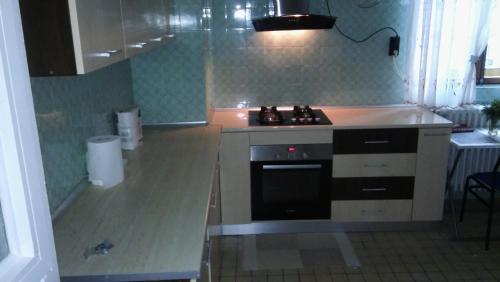 a kitchen with a stove and a sink in it at Villa 3 papuci in Constanţa