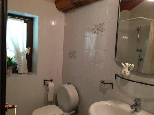 LillianesにあるRascard - Valle di Gressoneyのバスルーム(トイレ、洗面台、鏡付)