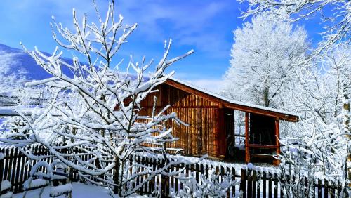 a cabin covered in snow with a tree at Kucerak na Drini in Bajina Bašta