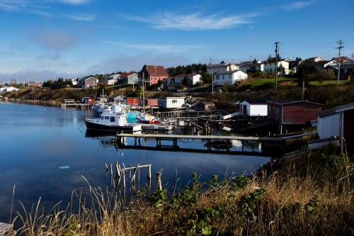 a boat docked at a dock in a harbor at The Killick Inn & Suites in Arnold's Cove