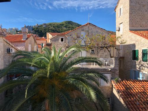a palm tree in a city with buildings at Apartment Viva in Budva