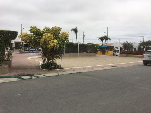 a street with a tree on the side of a road at NUESTRA CASA-OUR HOME Salinas by A2CC in Salinas