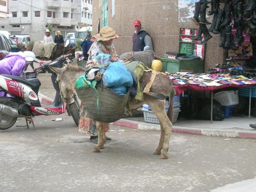 a woman riding on the back of a donkey at Dar es Salam-Alta in Asilah