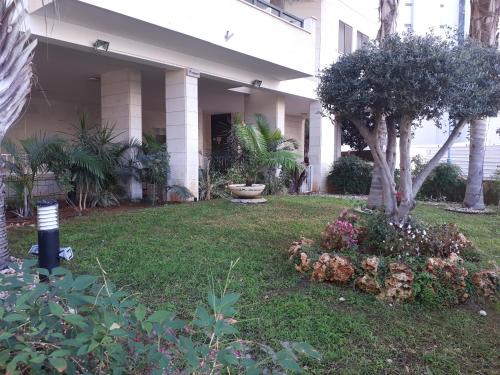 a house with a yard with a tree and flowers at Apartment 2 bedrooms Central Location in Ashdod