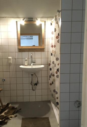a bathroom with a sink and a mirror at Am Ziegenhof in Parndorf