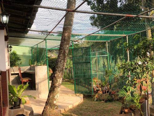 a greenhouse with a tree in the middle of a garden at Udawatta Kele (UK) Forest Lodge in Kandy