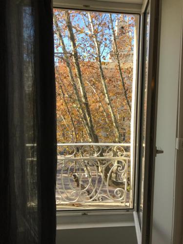 a window with a view of a tree at Les Coulisses de l'HORLOGE - WIFI - 50 m Palais des Papes in Avignon