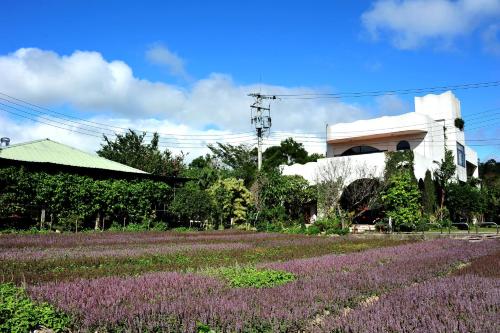 Jardín al aire libre en Tuscany Garden B&B
