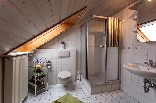 y baño con ducha, aseo y lavamanos. en Stinneshof en Oberharmersbach