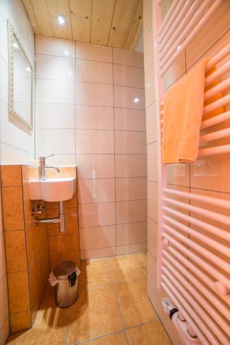 a bathroom with a sink and a shower at Apartments Landhaus Sonnheim in Lofer