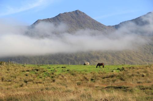The Reeks Cottage – Fotos 2