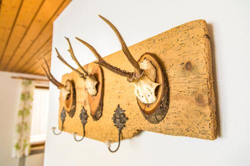 a group of antlers hanging on a wall at Pichlgut in Radstadt