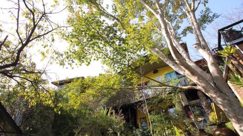 竹東鎮的住宿－老農夫山莊 ，前面有树木的黄色建筑