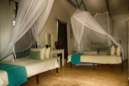um quarto com 2 camas e redes mosquiteiras em The Old House em Kasane
