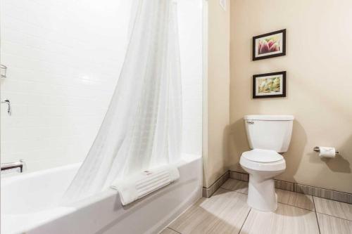 Ένα μπάνιο στο Comfort Suites Brookings