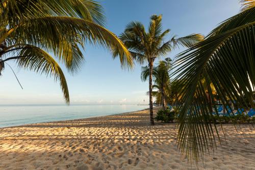 a beach with two palm trees and the ocean at Allegro Cozumel All-Inclusive in Cozumel