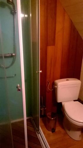 a bathroom with a toilet and a glass shower at Le gîte de Chomet in La Tour-dʼAuvergne