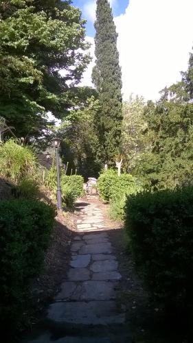 a stone path in a garden with trees and bushes at Casa Emilia in Stazzema