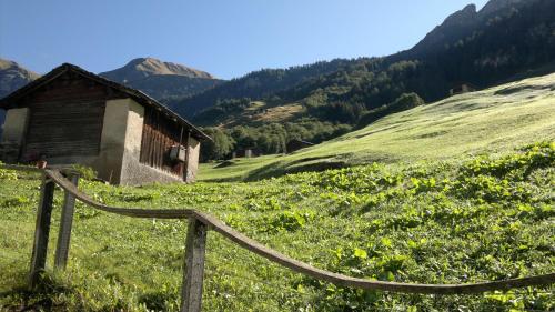 an old barn in a field with a fence at Ferienwohnung Mura in Vals