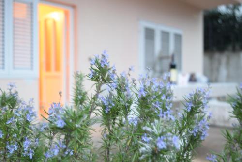 a bush with purple flowers in front of a door at Apartment S&M in Tivat