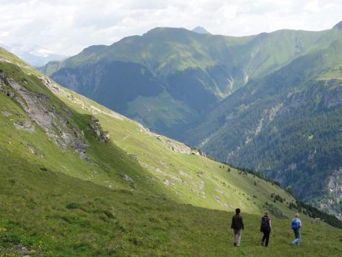 three people walking on a grassy hill overlooking mountains at Ferienwohnung Mura in Vals