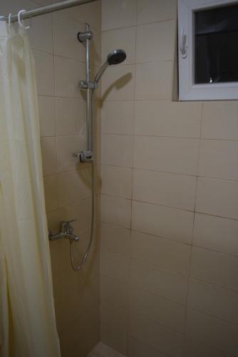 a shower in a bathroom with a shower curtain at Apartment S&M in Tivat