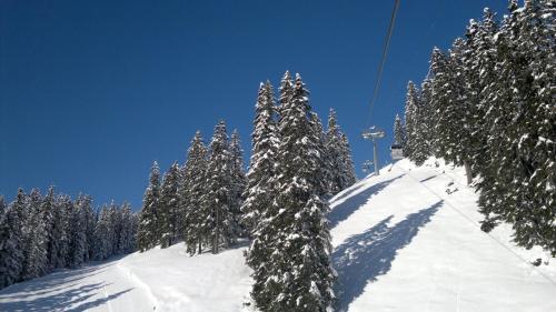 a group of snow covered trees on a ski slope at Ferienwohnung Mura in Vals