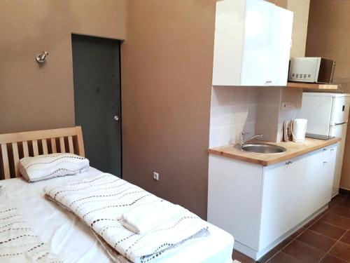 a small kitchen with a bed and a sink at Market Square Apartment in Budapest