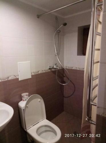 a bathroom with a shower with a toilet and a sink at Turul in Berehove