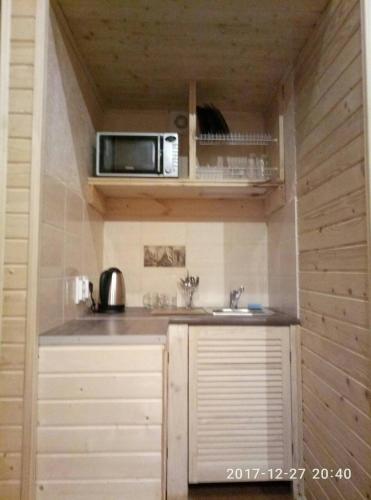 a small kitchen with a sink and a microwave at Turul in Berehove