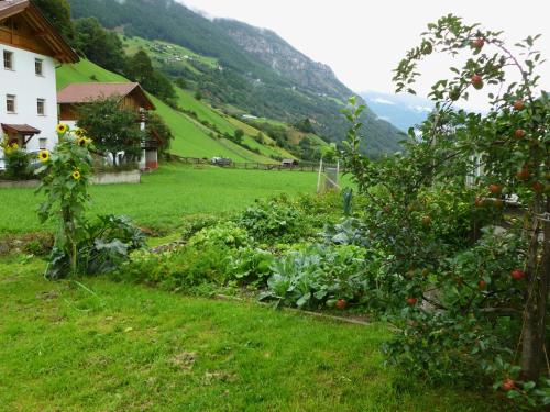 an apple garden in a field with a house at Ferienwohnungen Auhaus in Martello