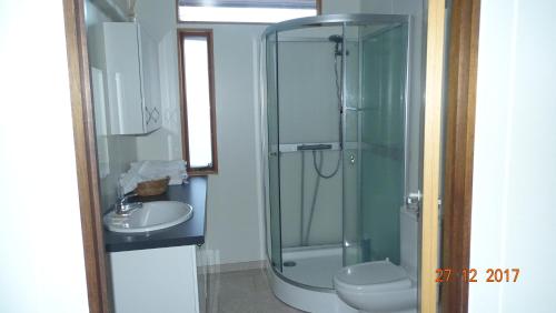 a bathroom with a shower and a toilet and a sink at Miðjanes Reykhólahrepp in Reykhólar