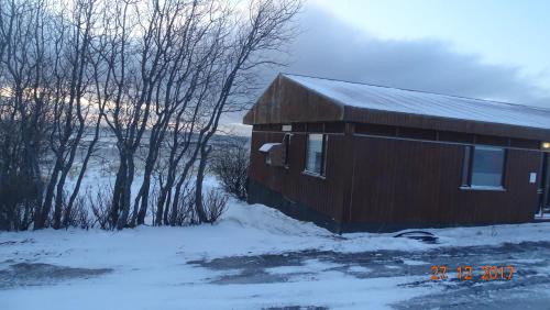 a small wooden cabin in the snow with trees at Miðjanes Reykhólahrepp in Reykhólar