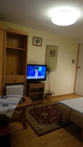 a living room with a flat screen tv and a couch at Willa Padama in Szklarska Poręba