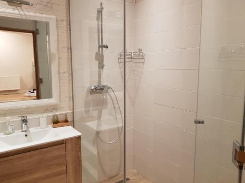 クルジュ・ナポカにあるTraian Residenceのバスルーム(シャワー、シンク付)