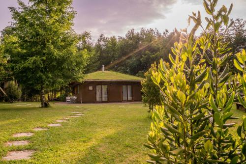 a house with a grassy roof with a pathway leading to it at Complejo Cabañas Quilamalen in Villarrica