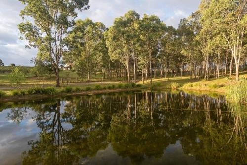 a body of water with trees in the background at Deja Vu Estate in Pokolbin