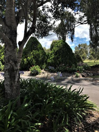 a park with bushes and trees and a tree at Crows Nest Motel in Crows Nest