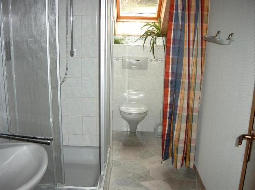 a bathroom with a shower and a toilet and a sink at Ferienwohnung Bäumener in Hilchenbach