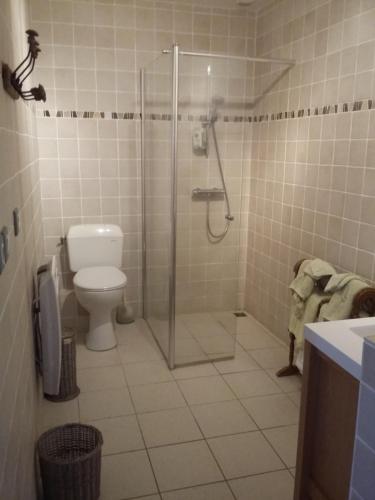 ein Bad mit einer Dusche und einem WC. in der Unterkunft La Ferme Du Vincin in Vannes