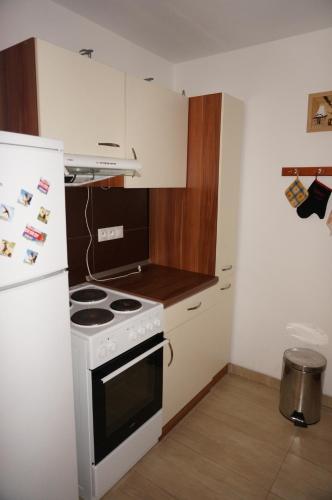 Kuhinja ili čajna kuhinja u objektu Horalka