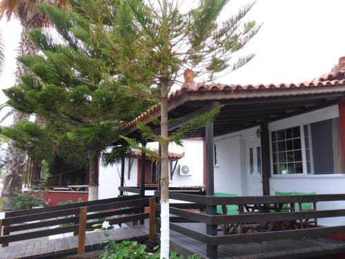 a pine tree in front of a house at Studios Resbithas in Gythio