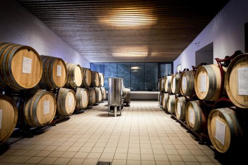 a row of wine barrels in a room at Palazzo Tronconi agriturismo in Arce