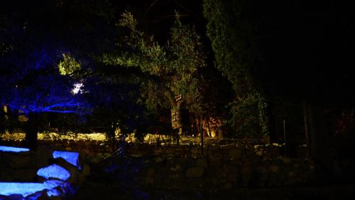 a group of trees at night with blue lights at Agriturismo Sorgente di Luna in Larino