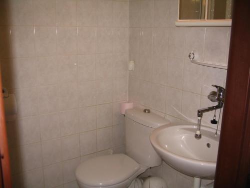 a bathroom with a toilet and a sink at Apartmany Ingeborg in Jáchymov