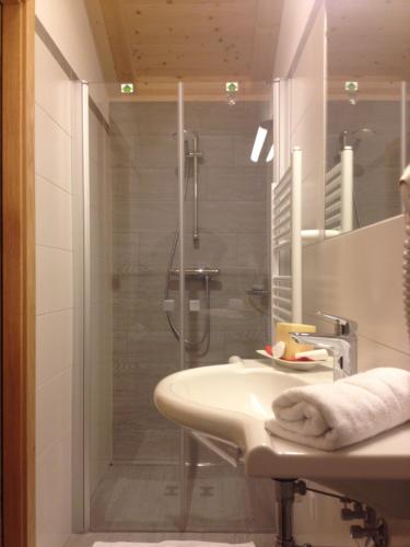 グロースアルルにあるChalet Schiederhofのバスルーム(シャワー、シンク付)